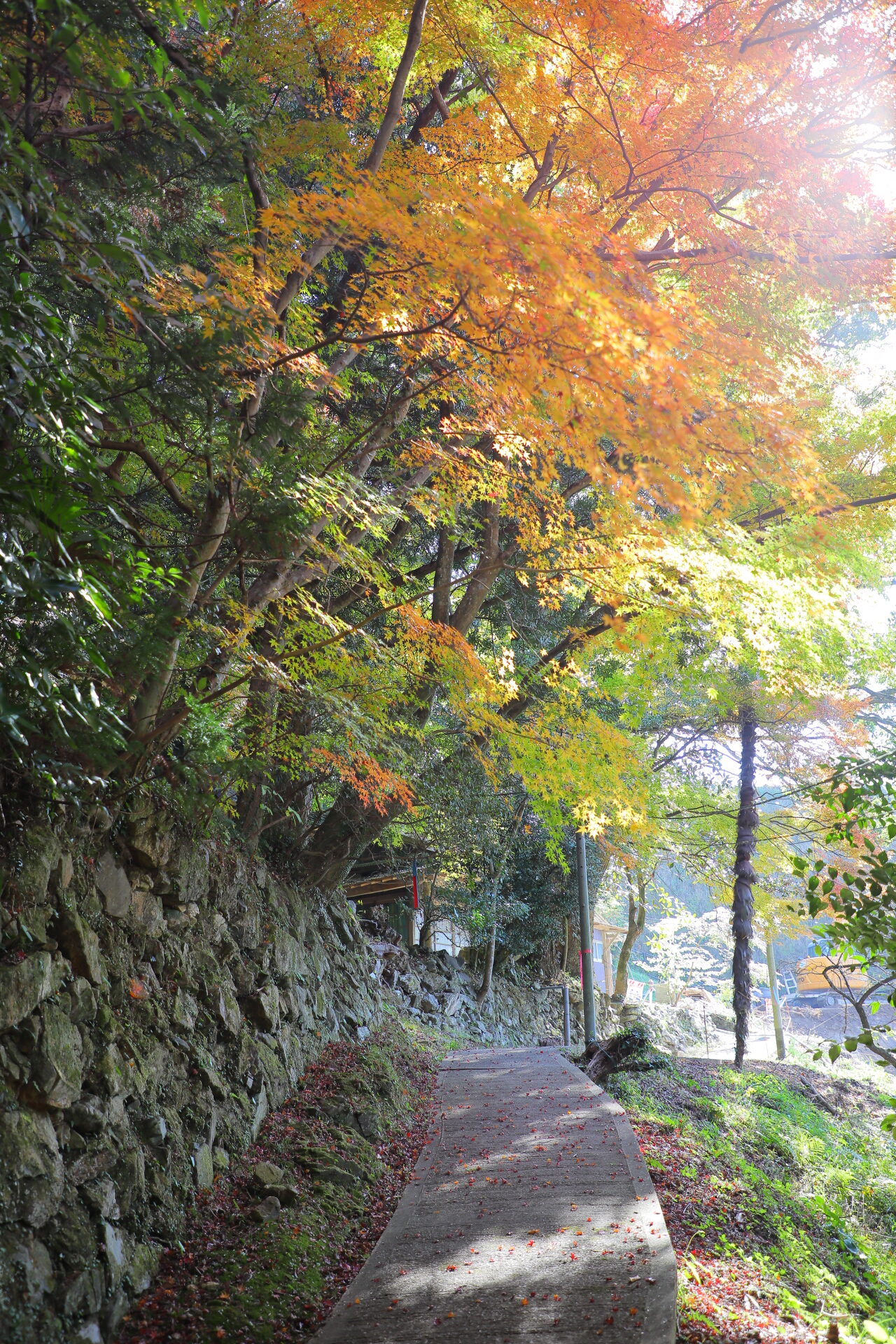 上高野観音寺の紅葉