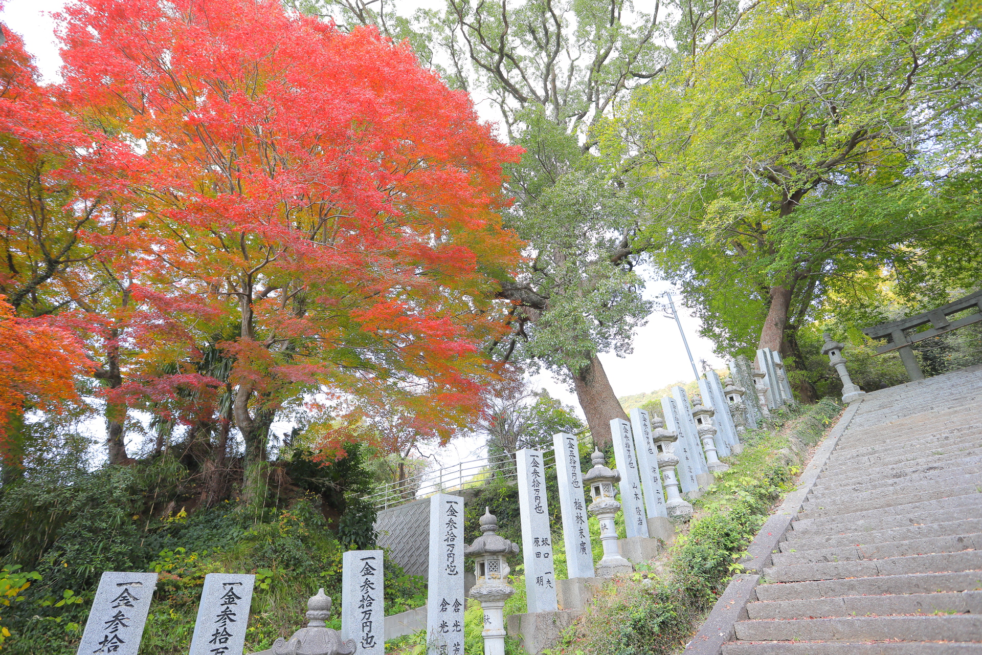 香春神社の紅葉