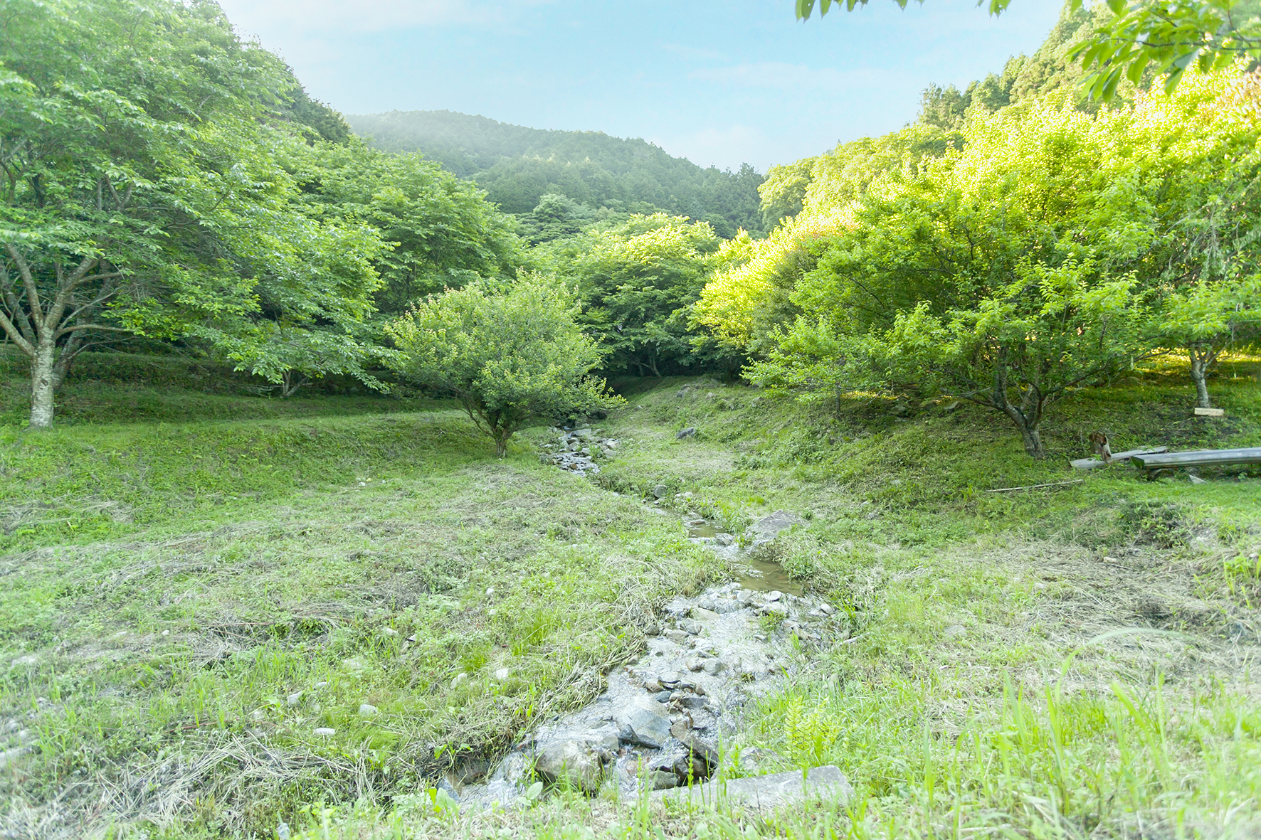 ⻑光円陣の滝桜公園