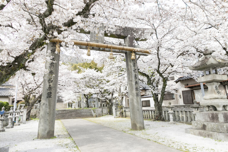 香春神社_桜2233-768x512.jpg